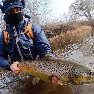 Meet your Posher, Matthew